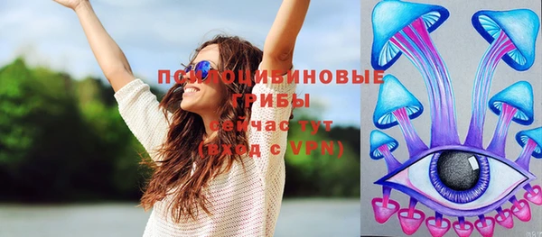 хмурый Армянск