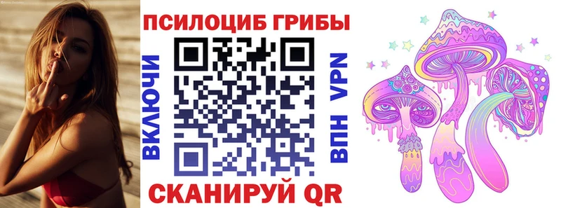 Псилоцибиновые грибы Psilocybe  Купить закладки  Ужур 